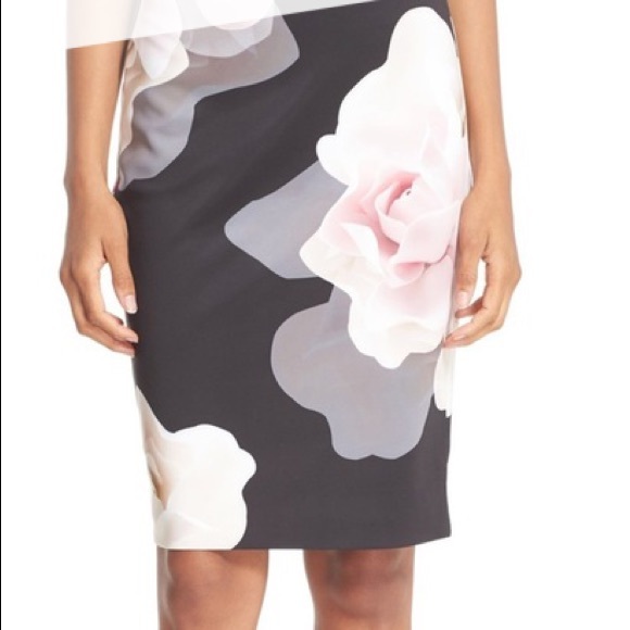 Ted Baker London Dresses & Skirts - Ted Baker Kanari skirt size 1 US 2-4. Almost new.